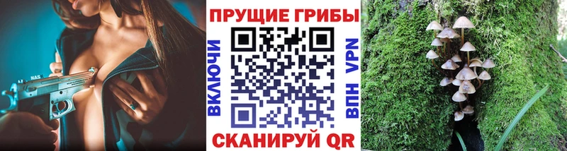 Галлюциногенные грибы Cubensis  Новый Уренгой 