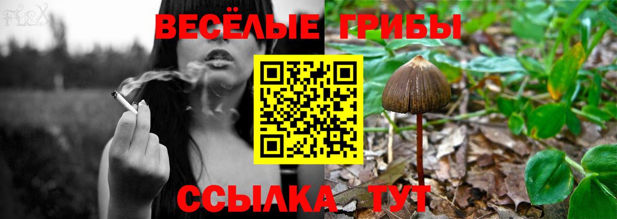 наркота  Псилоцибиновые грибы мицелий  Вход с VPN  Новый Уренгой 